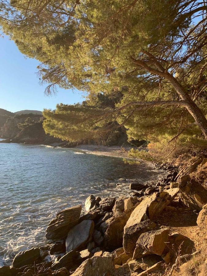 Villa Cavalaire sur Mer Eksteriør bilde